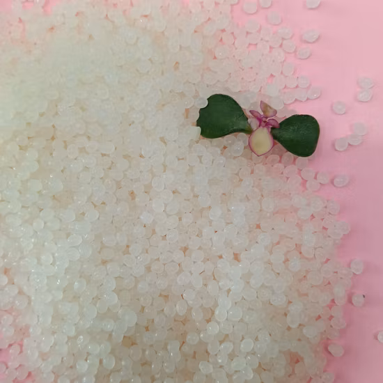 Guorarn 생분해성 PLA Pbat 검정색 퇴비화 플라스틱 T